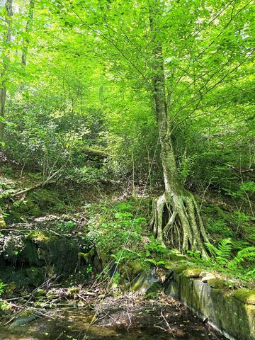 795 Porterfield Gap Road, Robbinsville, NC 28771