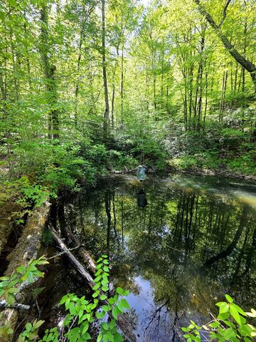 795 Porterfield Gap Road, Robbinsville, NC 28771