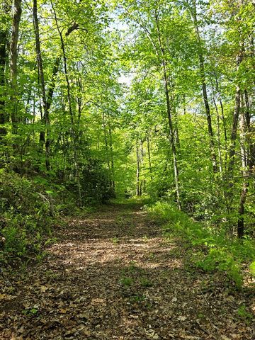 795 Porterfield Gap Road, Robbinsville, NC 28771