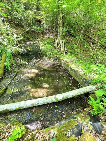 795 Porterfield Gap Road, Robbinsville, NC 28771