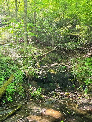 795 Porterfield Gap Road, Robbinsville, NC 28771