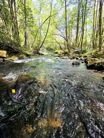 795 Porterfield Gap Road, Robbinsville, NC 28771