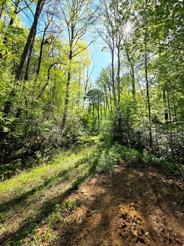 795 Porterfield Gap Road, Robbinsville, NC 28771