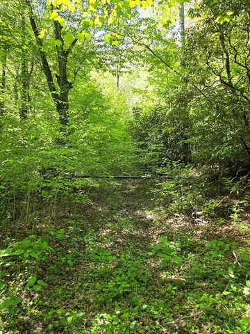795 Porterfield Gap Road, Robbinsville, NC 28771