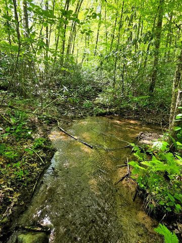 795 Porterfield Gap Road, Robbinsville, NC 28771