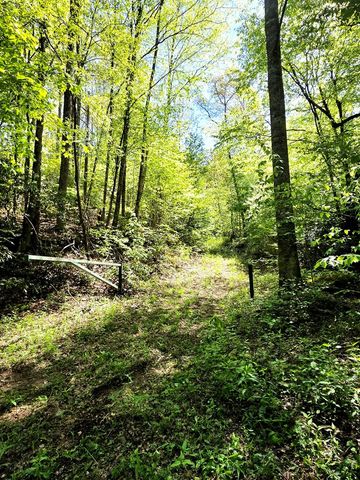 795 Porterfield Gap Road, Robbinsville, NC 28771