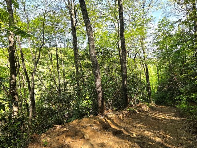795 Porterfield Gap Road, Robbinsville, NC 28771