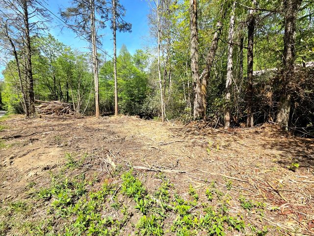 795 Porterfield Gap Road, Robbinsville, NC 28771