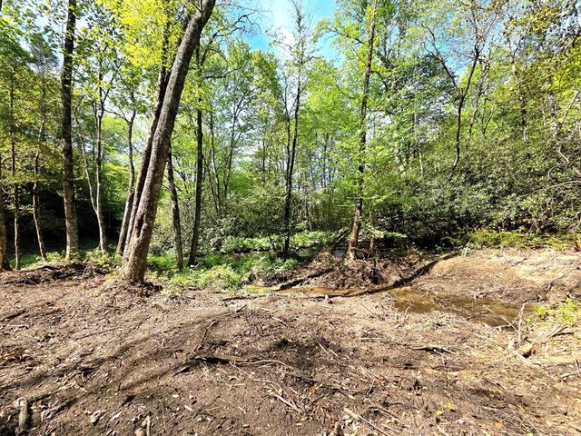 795 Porterfield Gap Road, Robbinsville, NC 28771
