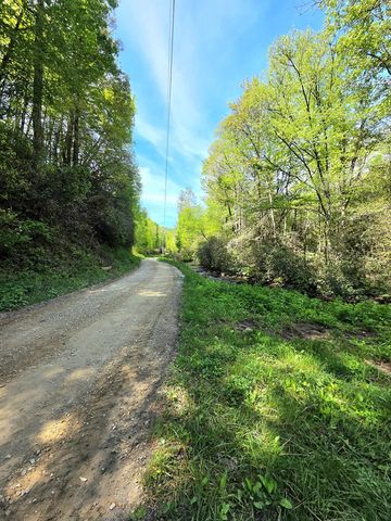 795 Porterfield Gap Road, Robbinsville, NC 28771