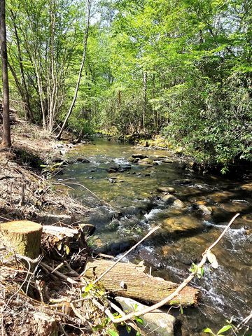 795 Porterfield Gap Road, Robbinsville, NC 28771