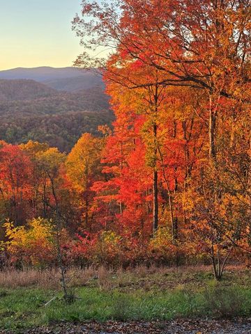 795 Porterfield Gap Road, Robbinsville, NC 28771