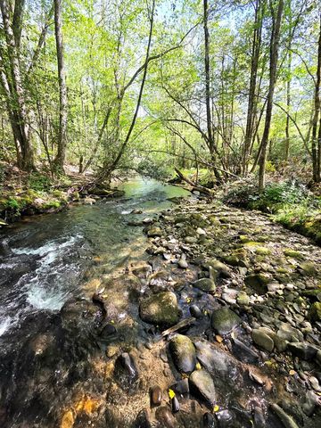 795 Porterfield Gap Road, Robbinsville, NC 28771