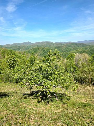 795 Porterfield Gap Road, Robbinsville, NC 28771
