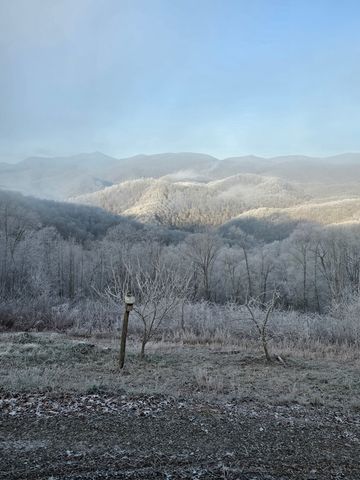 795 Porterfield Gap Road, Robbinsville, NC 28771