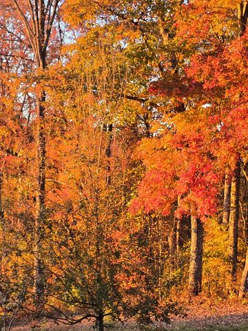 795 Porterfield Gap Road, Robbinsville, NC 28771
