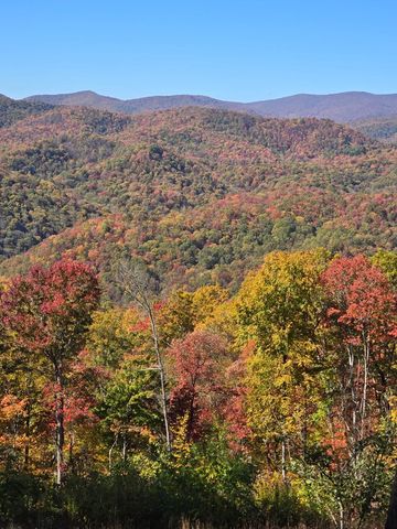 795 Porterfield Gap Road, Robbinsville, NC 28771