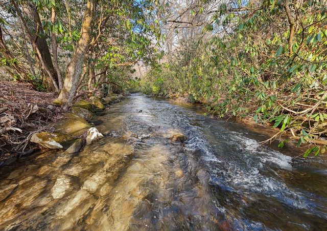 795 Porterfield Gap Road, Robbinsville, NC 28771