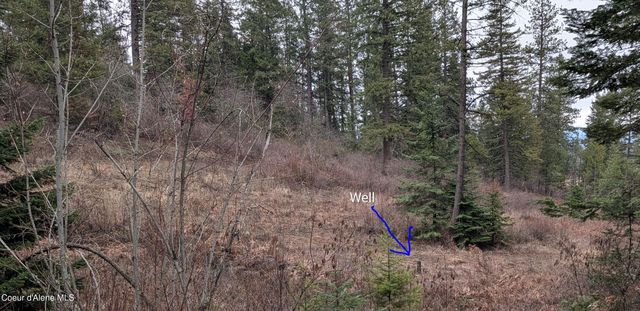 6303 W Dower Rd, Coeur D'alene, ID 83814