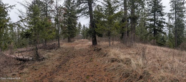 6303 W Dower Rd, Coeur D'alene, ID 83814