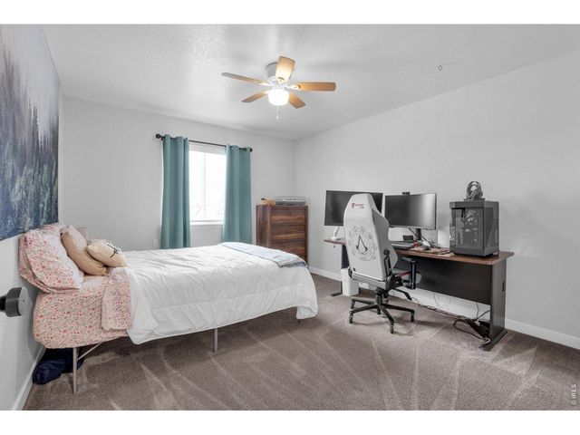 3294 Grizzly Way, Wellington, CO 80549