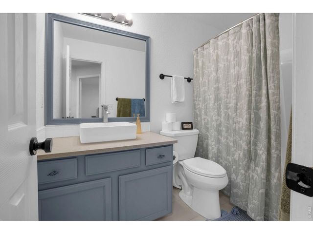 3294 Grizzly Way, Wellington, CO 80549