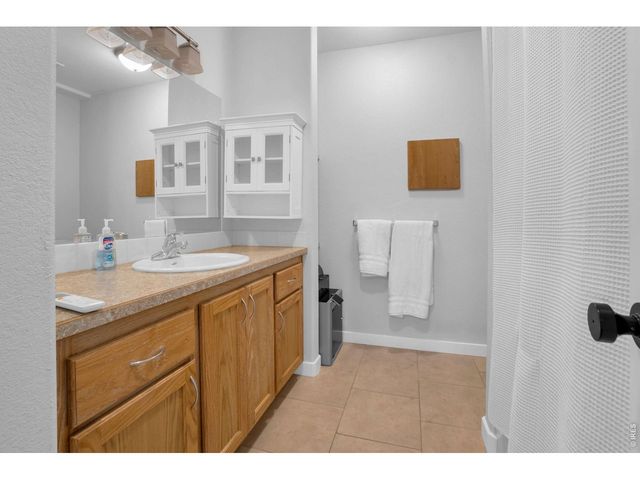 3294 Grizzly Way, Wellington, CO 80549