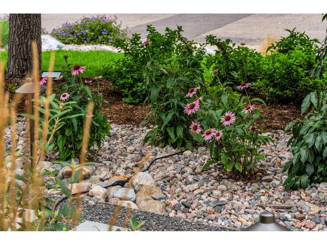 3294 Grizzly Way, Wellington, CO 80549