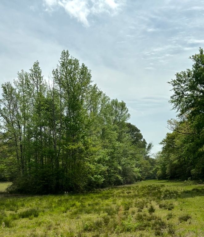TBD 013 County Road 242, Oakwood, TX 75855