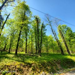 1603 Sequoyah Drive, Mooresburg, TN 37811