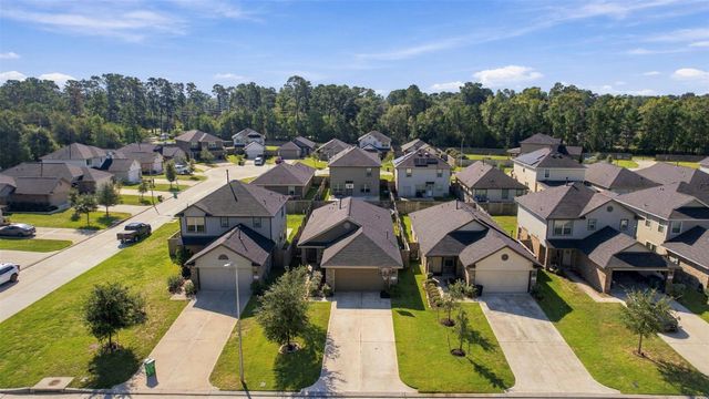 1207 Blue Hazel Court, Magnolia, TX 77362