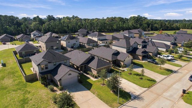1207 Blue Hazel Court, Magnolia, TX 77362