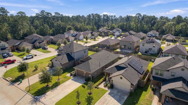 1207 Blue Hazel Court, Magnolia, TX 77362