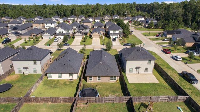 1207 Blue Hazel Court, Magnolia, TX 77362