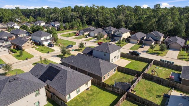 1207 Blue Hazel Court, Magnolia, TX 77362