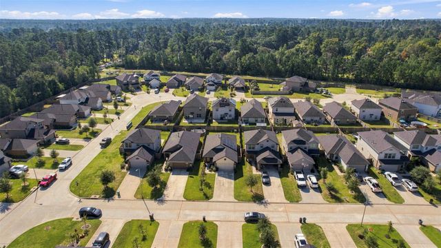 1207 Blue Hazel Court, Magnolia, TX 77362