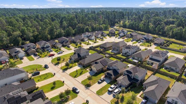 1207 Blue Hazel Court, Magnolia, TX 77362