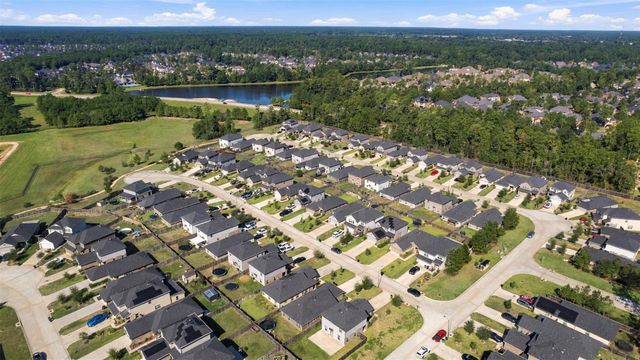 1207 Blue Hazel Court, Magnolia, TX 77362