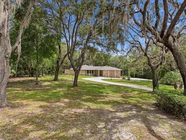 162 W MASSACHUSETTS STREET, Hernando, FL 34442