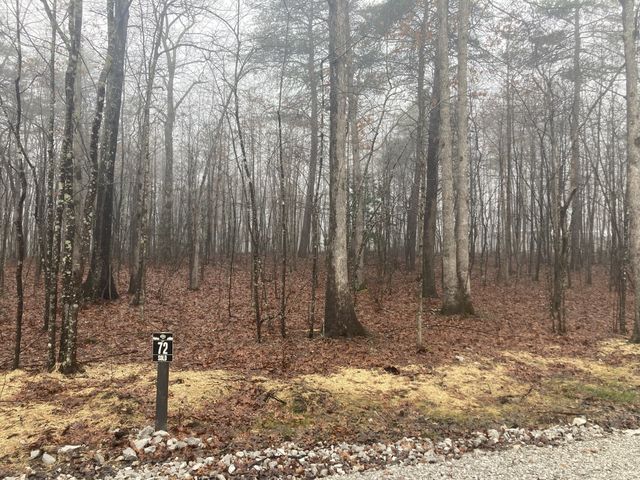 72 Woodly Branch Way, Monteagle, TN 37356