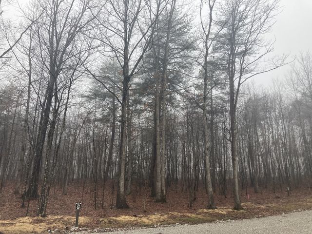 72 Woodly Branch Way, Monteagle, TN 37356