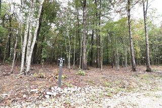 72 Woodly Branch Way, Monteagle, TN 37356