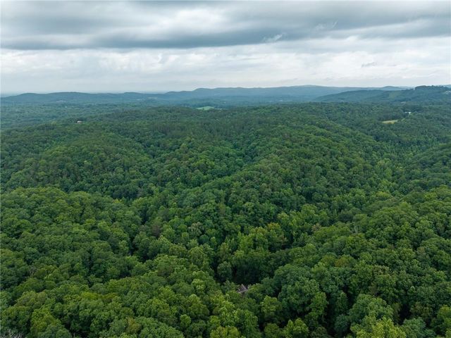1117 Rambling Road, Fairmount, GA 30139