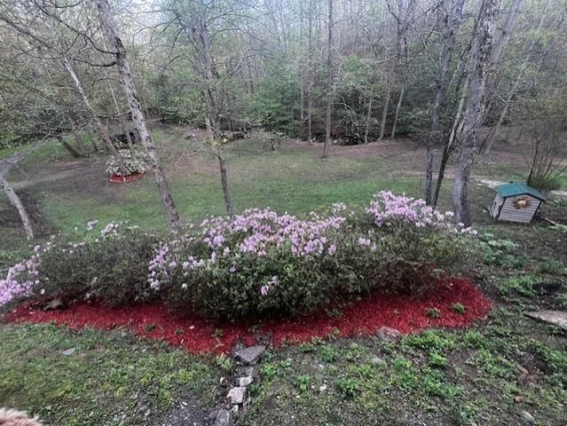 1117 Rambling Road, Fairmount, GA 30139