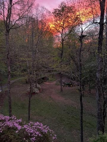 1117 Rambling Road, Fairmount, GA 30139