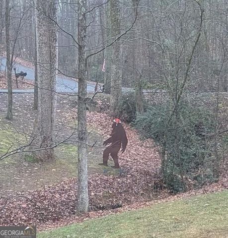 7250 Timber Trail, Cumming, GA 30041