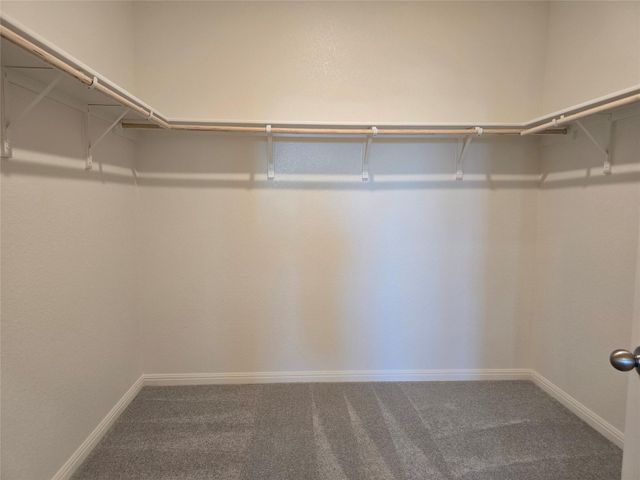 202 Fox Haven RD, Hutto, TX 78634