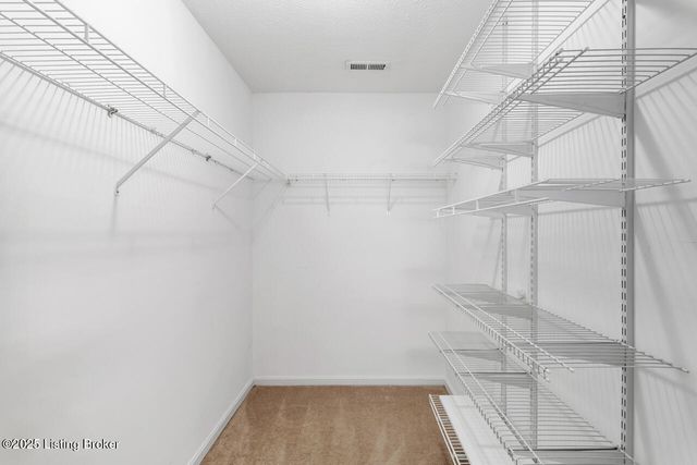 8701 Lough Dr, Louisville, KY 40291