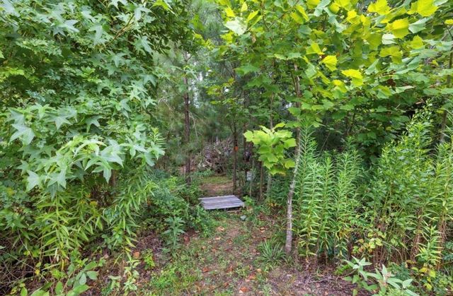 23022 Creek Park Drive, Spring, TX 77389