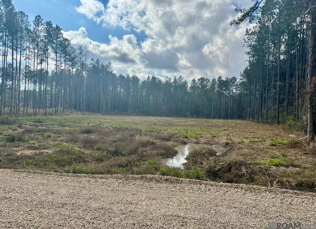 Lot 37 Nesom Rd, Denham Springs, LA 70453